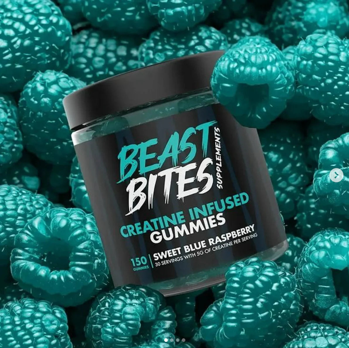 BEAST BITES