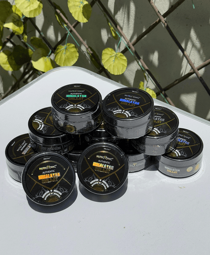 SHILAJIT ORIGINAL DEL HIMALAYA