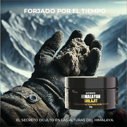 SHILAJIT ORIGINAL DEL HIMALAYA